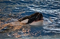 Kids_SeaWorldSA-2013 (190)